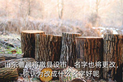 山東曹縣將撤縣設(shè)市，名字也將更改，你認為改成什么名字好呢