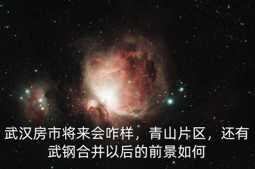 武漢房市將來會(huì)咋樣，青山片區(qū)，還有武鋼合并以后的前景如何