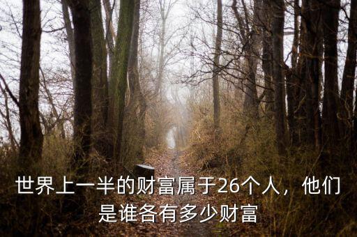 世界上有多少財(cái)富,各有多少財(cái)富