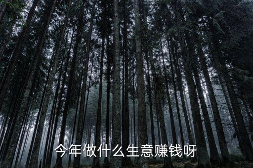 今年做什么生意賺錢呀