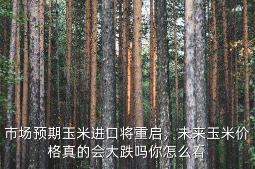 市場預(yù)期玉米進(jìn)口將重啟，未來玉米價格真的會大跌嗎你怎么看