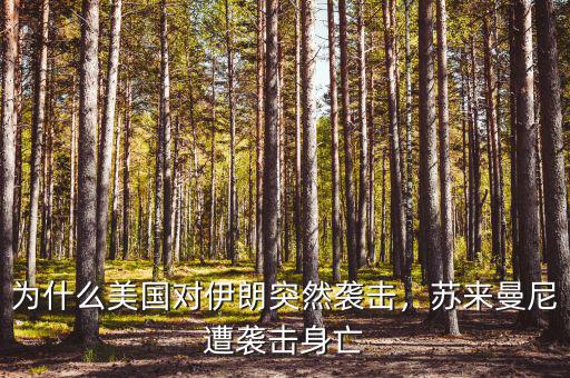 為什么美國對伊朗突然襲擊，蘇來曼尼遭襲擊身亡