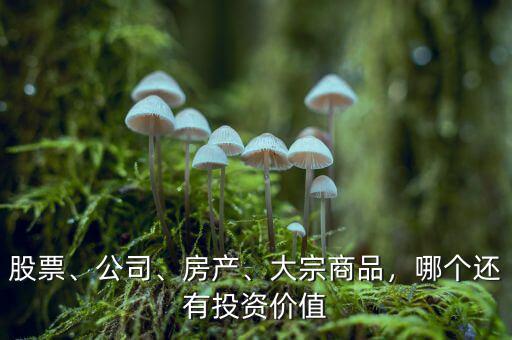 股票、公司、房產(chǎn)、大宗商品，哪個還有投資價值