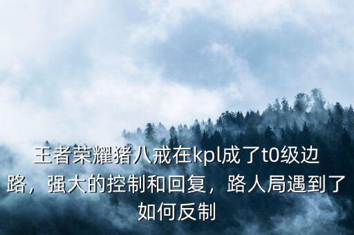 王者榮耀豬八戒在kpl成了t0級邊路，強大的控制和回復，路人局遇到了如何反制