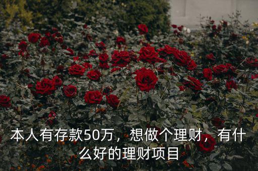 本人有存款50萬，想做個理財，有什么好的理財項目
