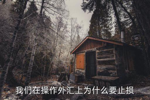 美國(guó)為什么要提出止損政策,需要止損嗎為什么要止損呢