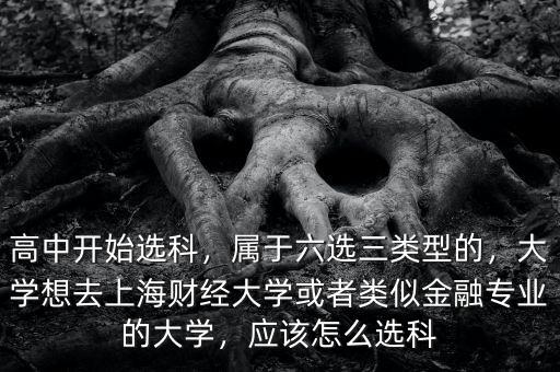 高中開始選科，屬于六選三類型的，大學(xué)想去上海財(cái)經(jīng)大學(xué)或者類似金融專業(yè)的大學(xué)，應(yīng)該怎么選科