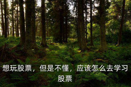 想玩股票，但是不懂，應該怎么去學習股票