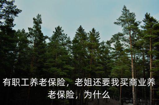 有職工養(yǎng)老保險(xiǎn)，老姐還要我買商業(yè)養(yǎng)老保險(xiǎn)，為什么