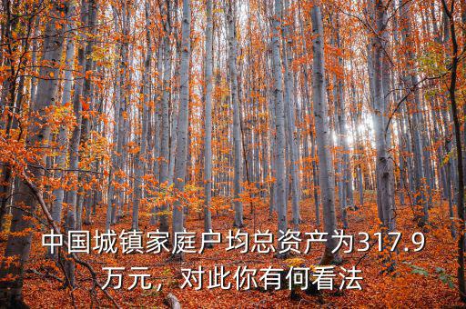 中國城鎮(zhèn)家庭戶均總資產(chǎn)為317.9萬元，對此你有何看法