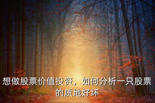 股票質地是什么意思,說的是什么意思
