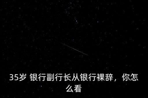 銀行副行長做什么,從銀行行長離崗后適合做什么