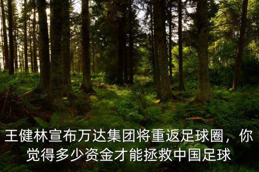 王健林宣布萬達(dá)集團(tuán)將重返足球圈，你覺得多少資金才能拯救中國足球