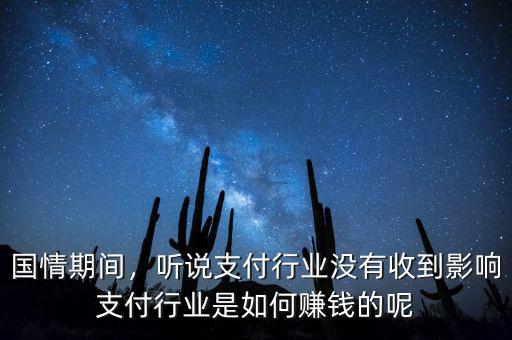 國情期間，聽說支付行業(yè)沒有收到影響支付行業(yè)是如何賺錢的呢