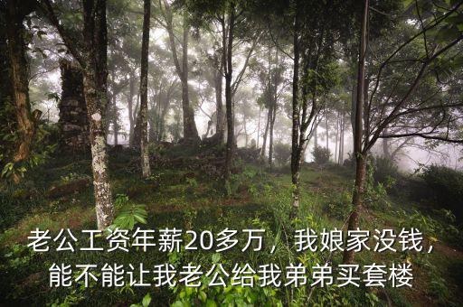 老公工資年薪20多萬，我娘家沒錢，能不能讓我老公給我弟弟買套樓