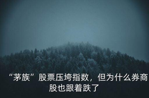 “茅族”股票壓垮指數(shù)，但為什么券商股也跟著跌了