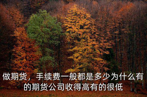 做期貨，手續(xù)費(fèi)一般都是多少為什么有的期貨公司收得高有的很低
