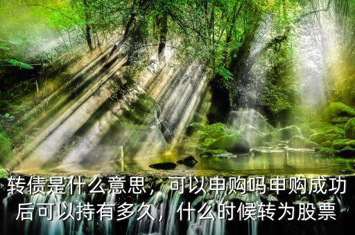 轉債是什么意思，可以申購嗎申購成功后可以持有多久，什么時候轉為股票