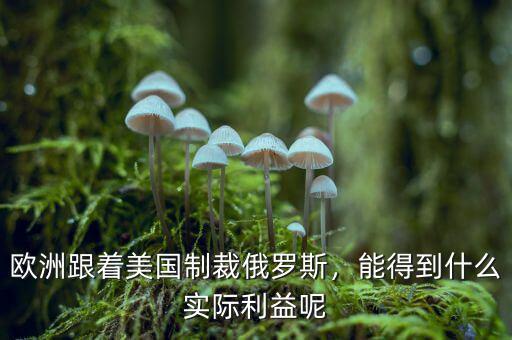 歐洲跟著美國(guó)制裁俄羅斯，能得到什么實(shí)際利益呢