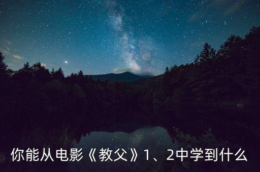 你能從電影《教父》1、2中學(xué)到什么