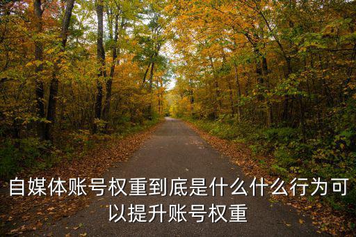 自媒體賬號權重到底是什么什么行為可以提升賬號權重