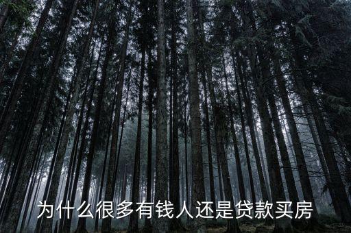中國(guó)富豪為什么會(huì)貸款,為什么有錢(qián)人要貸款做生意