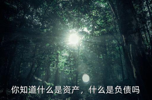 你知道什么是資產(chǎn)，什么是負(fù)債嗎