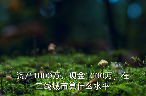 資產(chǎn)1000萬(wàn)，現(xiàn)金1000萬(wàn)，在三線城市算什么水平