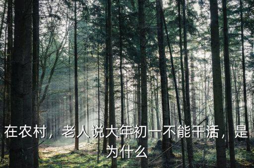 在農(nóng)村，老人說大年初一不能干活，是為什么