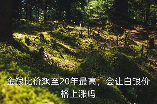 金銀比價(jià)飆至20年最高，會(huì)讓白銀價(jià)格上漲嗎