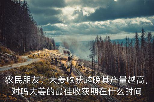 什么時(shí)候的姜稱(chēng)老姜,什么季節(jié)挖姜最好