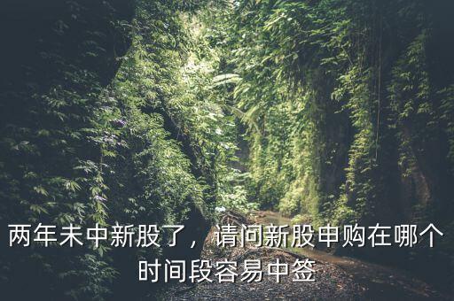 兩年未中新股了，請問新股申購在哪個時間段容易中簽