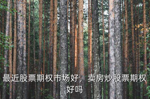 最近股票期權(quán)市場(chǎng)好，賣房炒股票期權(quán)好嗎