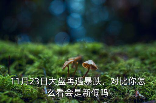11月23日大盤再遇暴跌，對比你怎么看會是新低嗎