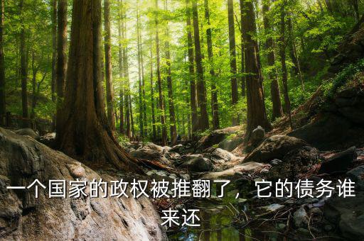一個國家的政權(quán)被推翻了，它的債務(wù)誰來還