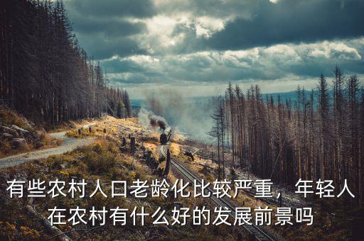 有些農(nóng)村人口老齡化比較嚴(yán)重，年輕人在農(nóng)村有什么好的發(fā)展前景嗎