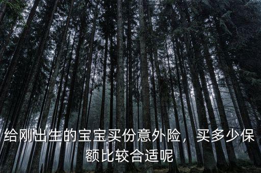 給剛出生的寶寶買份意外險，買多少保額比較合適呢