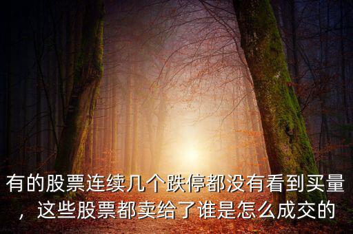 有的股票連續(xù)幾個(gè)跌停都沒(méi)有看到買(mǎi)量，這些股票都賣(mài)給了誰(shuí)是怎么成交的