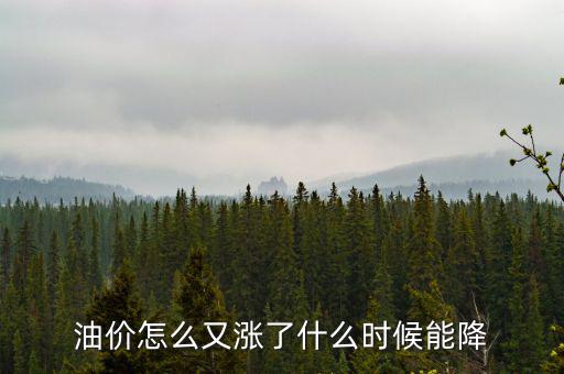 油價(jià)怎么又漲了什么時(shí)候能降