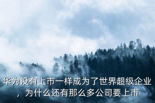 華為沒有上市一樣成為了世界超級企業(yè)，為什么還有那么多公司要上市
