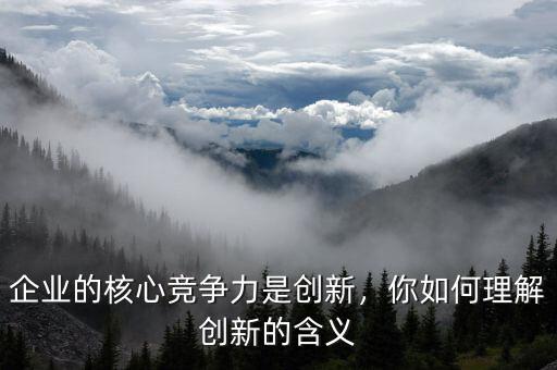 企業(yè)的核心競爭力是創(chuàng)新，你如何理解創(chuàng)新的含義