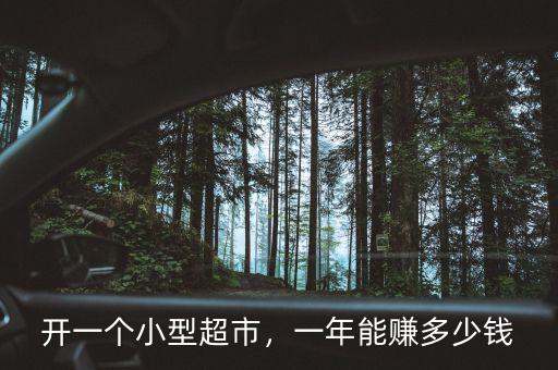 開一個(gè)小型超市，一年能賺多少錢