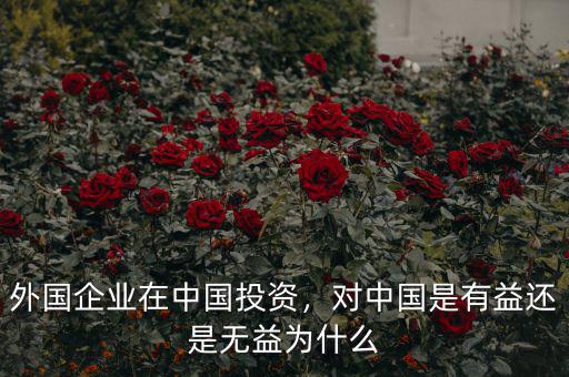 外國(guó)企業(yè)在中國(guó)投資，對(duì)中國(guó)是有益還是無(wú)益為什么