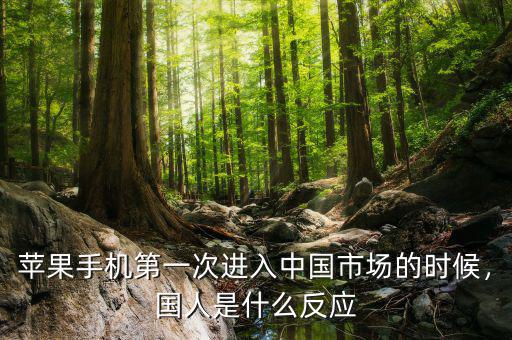 蘋果手機(jī)第一次進(jìn)入中國(guó)市場(chǎng)的時(shí)候，國(guó)人是什么反應(yīng)