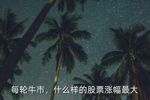 每輪牛市，什么樣的股票漲幅最大