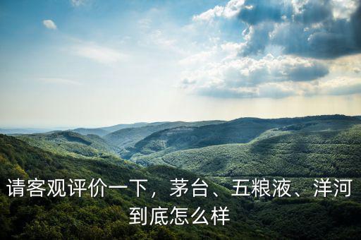 請客觀評價一下，茅臺、五糧液、洋河到底怎么樣