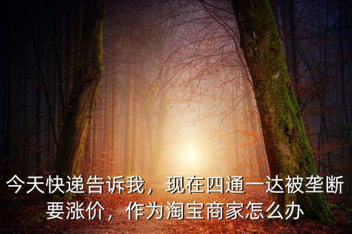 今天快遞告訴我，現(xiàn)在四通一達(dá)被壟斷要漲價，作為淘寶商家怎么辦