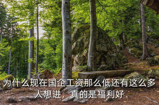 為什么現(xiàn)在國企工資那么低還有這么多人想進，真的是福利好