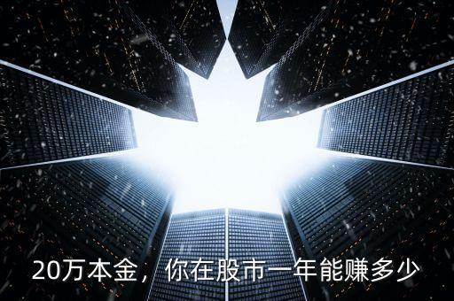 20萬(wàn)本金，你在股市一年能賺多少