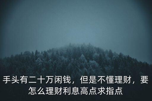 手頭有二十萬閑錢，但是不懂理財(cái)，要怎么理財(cái)利息高點(diǎn)求指點(diǎn)
